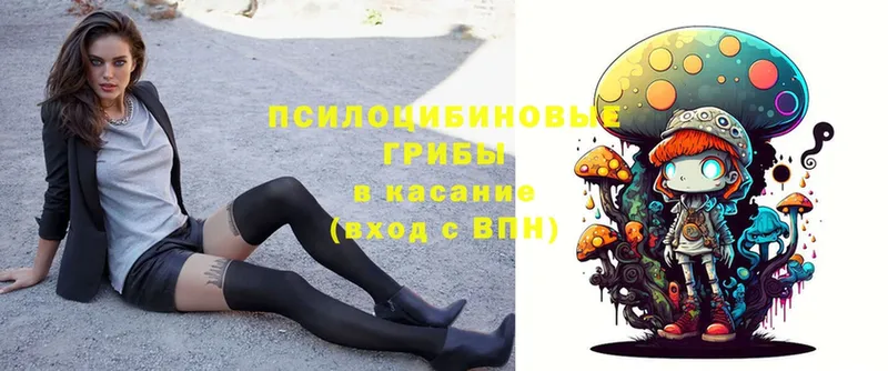 Галлюциногенные грибы GOLDEN TEACHER  Копейск 